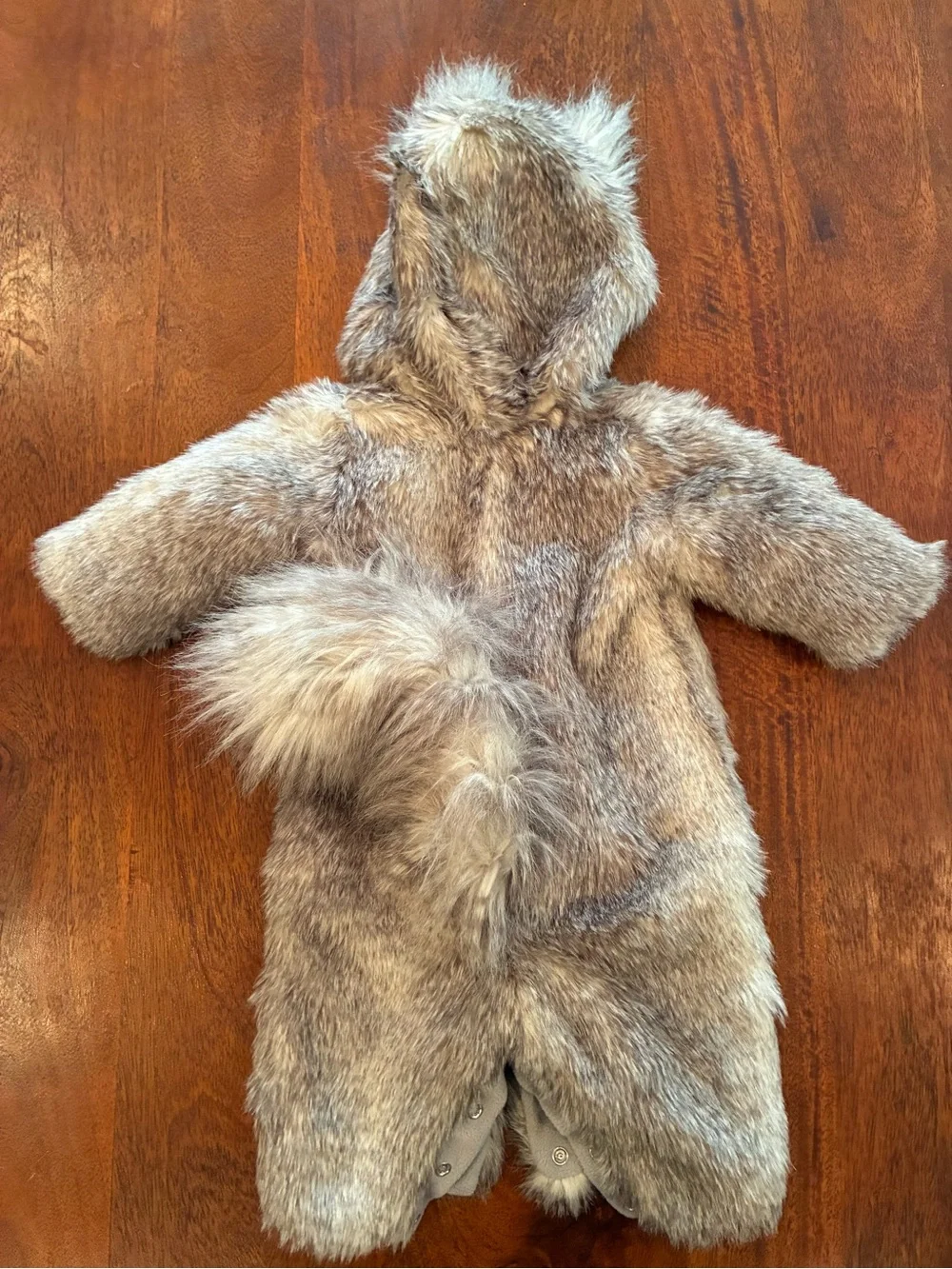 Pottery Barn Kids Baby Woodland Squirrel Halloween Costume 0-6 months - Picture 2 of 5